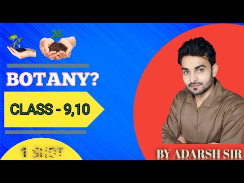 "Botany Basics: Exploring the Plant Kingdom"