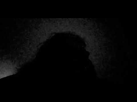 WW84=WORLD WAR 3 numerology 84-8+4=12; 1+2=3