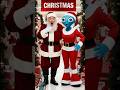 Evolution Of Baby Santa And Santi Stand Cat Kids Cat Cute Love Shorts