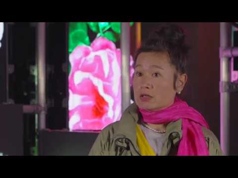 Hito Steyerl: Power Plants | Serpentine