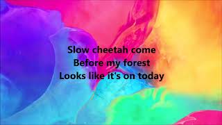 Red Hot Chili Peppers - Slow Cheetah Lyrics