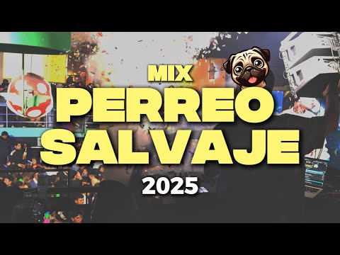MIX PERREO SALVAJE 2025🔥(Mix Reggaeton Antiguo) Choca, Daddy Yankee, Plan B y otros - @djraulito