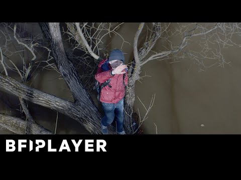 Thumbnail of the video: Mark Kermode reviews Loveless (2017) | BFI Player