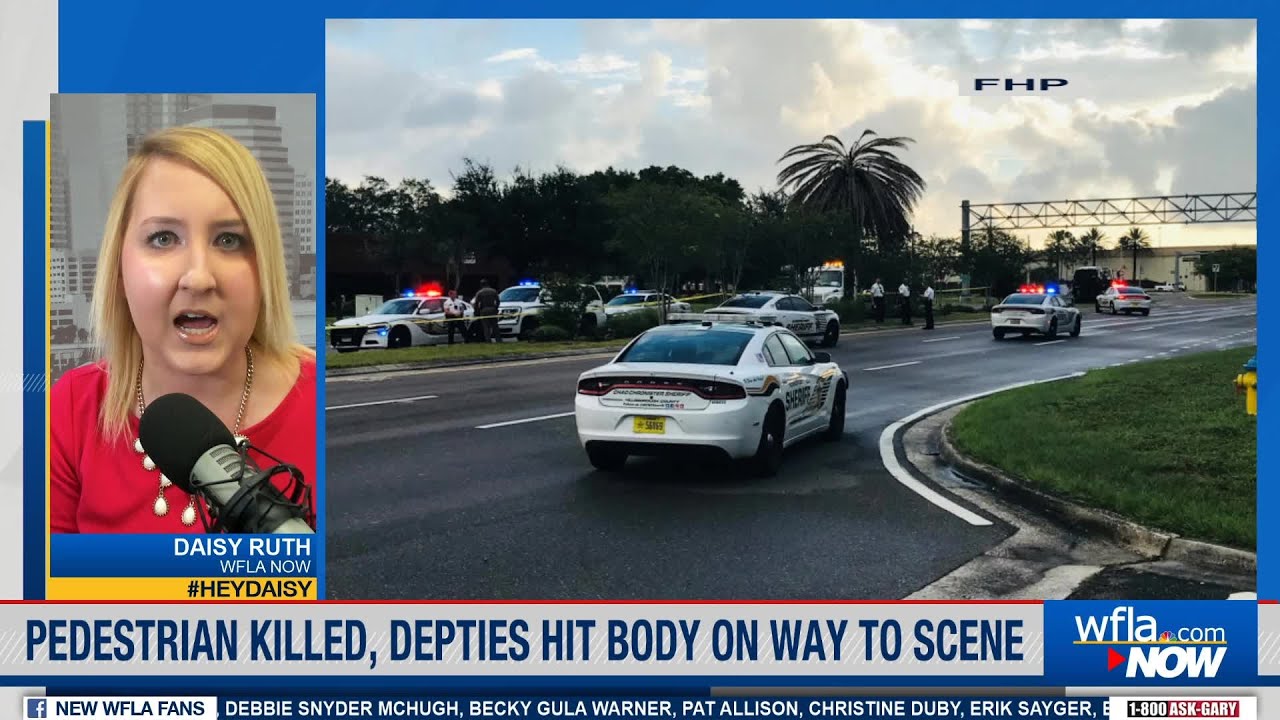 Pedestrian struck, killed by car; Hillsborough deputies hit body on way to scene