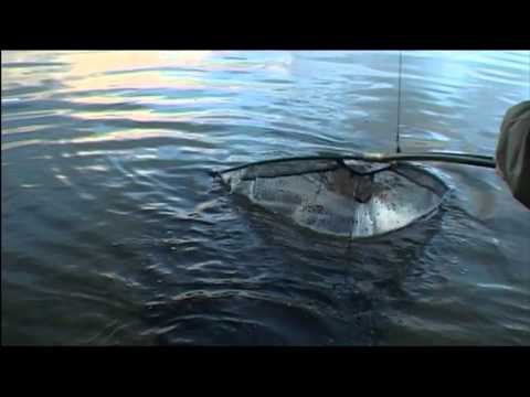 Catching The Impossible Trailer 2 - Magic Circles