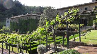 Tuscany Wine Walk Tour Video