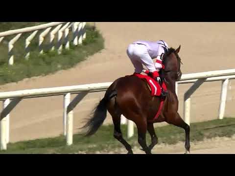 17/08/2020 – Hipodromo Las Piedras – Carr 3 – TASTEVÍN