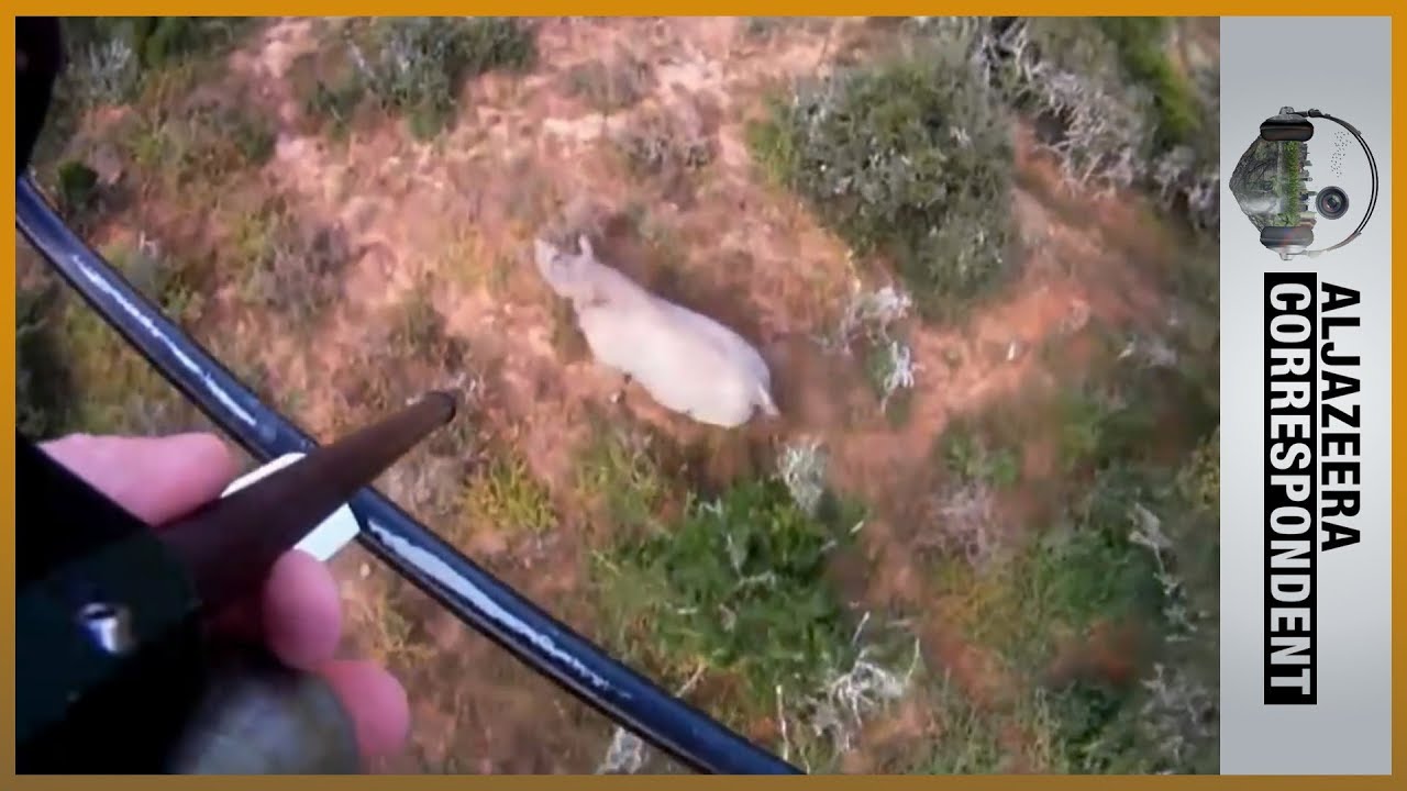 The Last Rhino