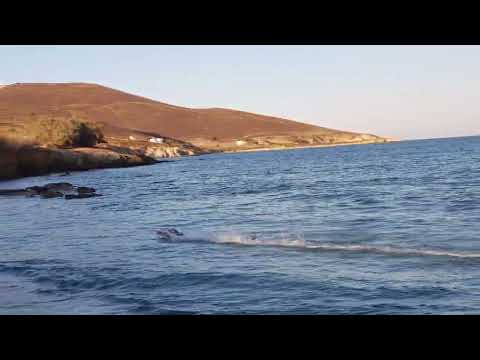 Proboat blackjack 42  8s