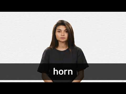 Car Horn synonyms - 20 Words and Phrases for Car Horn