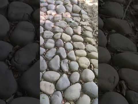 Balkrishna ji ki nature bagiya