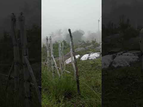 #neblina#paraiba