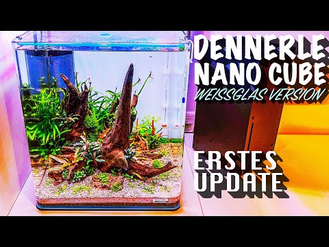 Watch Video on YouTube