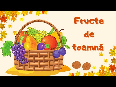 🍇FRUCTE DE TOAMNĂ 🍁|| coșul toamnei|| caracteristici fructe|| cunoasterea mediului