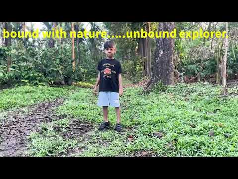 Where Silence Speaks - Sujith Mallena