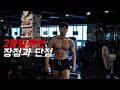 2분할 루틴을 하면 등이 약해질 수 있다!? - 2분할의 장점&단점 pt.1