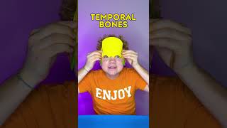 Face Bones Unleashed: The Chewing &amp; Talking Crew! 🦷✨