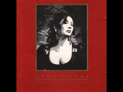 Gato Gaiato - Zizi Possi
