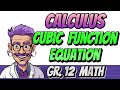 Calculus Cubic Function Equation Grade 12 Math