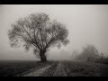 Joe Bonamassa - Around the Bend w/lyrics