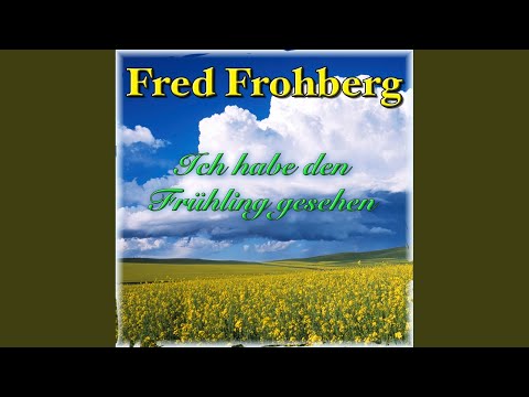 All meine Gedanken, die ich hab