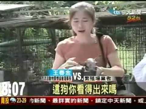 台灣『奇蹟』─從生命到垃圾(原發表者:weiwei管家)(影片)