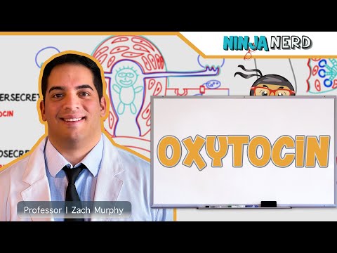 Endocrinology | Oxytocin