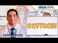 Endocrinology Oxytocin