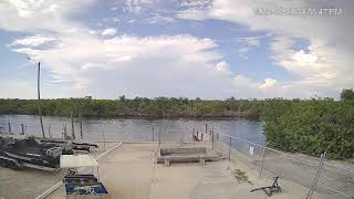 Live Florida Webcam - D and D Bait and Tackle Marina -  Matlacha #florida #webcam live webcam