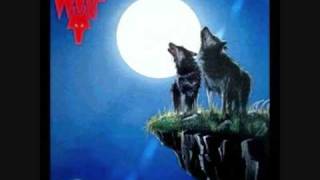 wolf - red lights