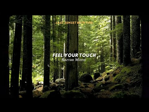 Razvan Mitroi - Feel Your Touch (Official Audio)