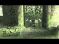 Shadow of the Colossus: Interlude
