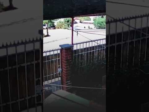 Falla Cariño Botado: Más de 800 sismos en la Región de Valparaíso