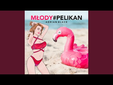 MŁODY PELIKAN