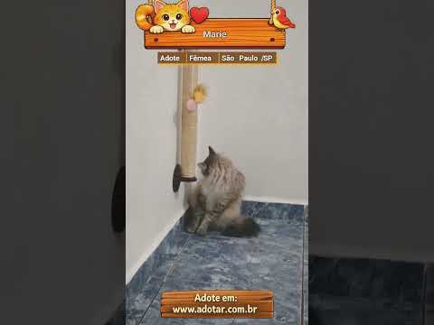 Vídeo de Marie