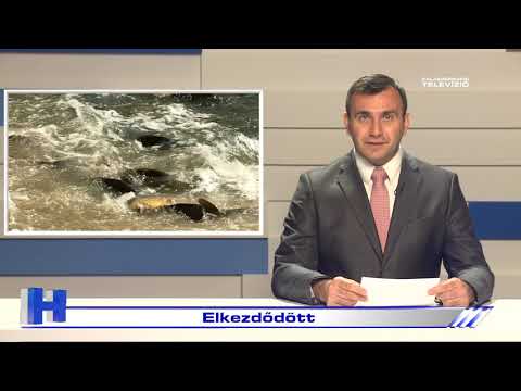 Híradó – 2021. április 8.