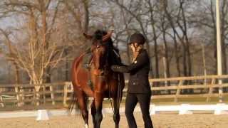 Horse & Human Academy; Training with Greetje Hakvoort
