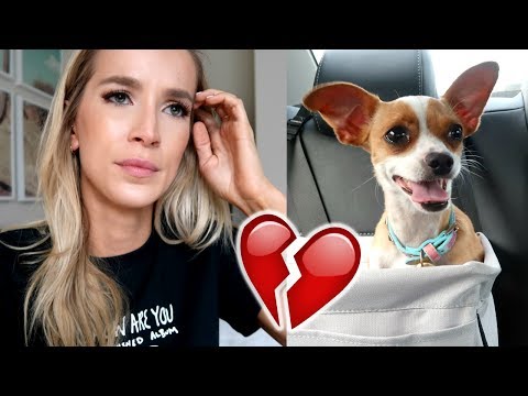 WHAT IS GOING TO HAPPEN TO LUNA? | LeighAnnVlogs Video