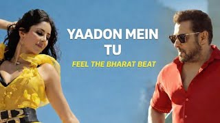 Yaadon Mein Tu | Tiger 3 | Salman Khan, Katrina | Pritam | Arijit Singh, Nikhita | Amitabh