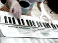 My heart will go on (Titanic) piano version 