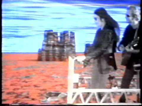 Silver Lizard video
