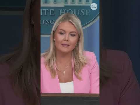 White House says ICE vehicle stops remain necessary ICE enforcement tool