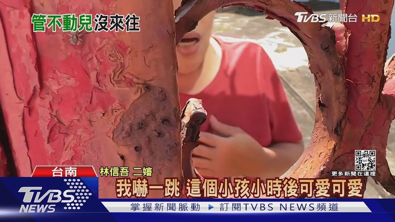長大離家、為人父狠心殺警 林母:管不動