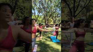 Download lagu Aula de Yoga no Parque Ibirapuera #YogaNoParqueIbirapuera mp3 Download lagu Aula de Yoga no Parque Ibirapuera #YogaNoParqueIbirapuera mp3