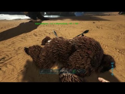 ARK: Survival Evolved_wrong way to tame gigantopithecus