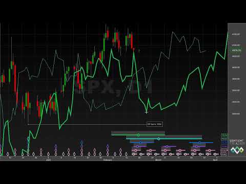 Troughs Ahead! - Hurst Cycles Market Update - 20 February 2023