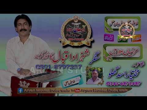 Marzian Wala Hein Singer Shehzad Iqbal  new Saraiki song 2020