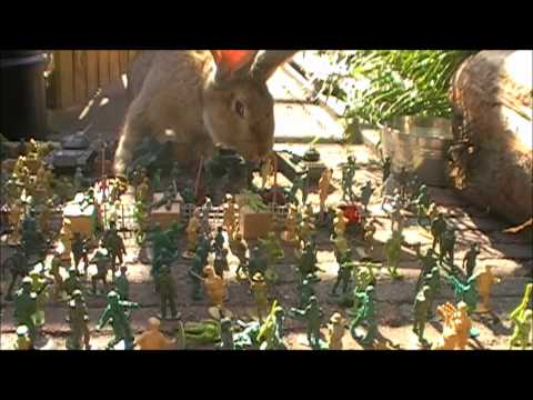 big bunny king kong attack