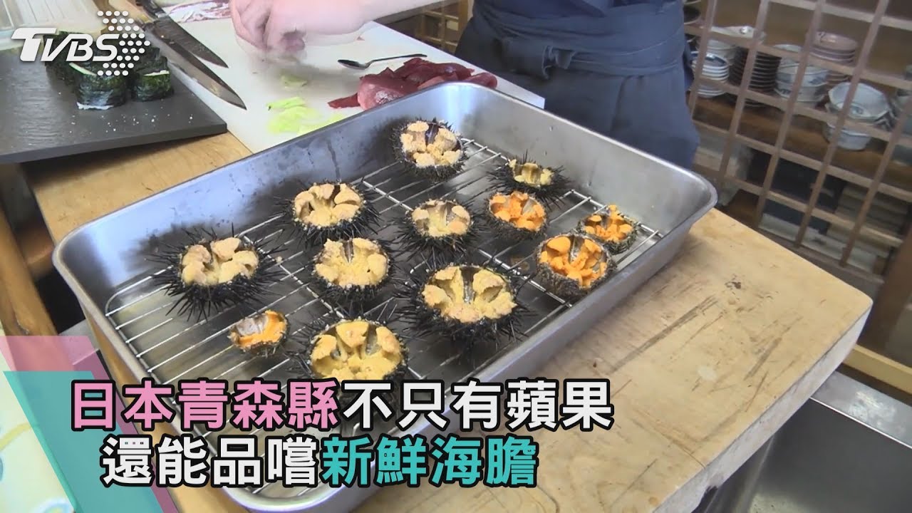別只知道蘋果！　日本青森也能吃到新鮮海膽