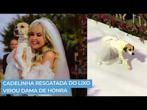 Cachorrinha Resgatada Do Lixo Vira Dama De Honra Em Cerimonia De Casamento